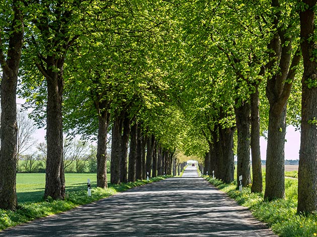 Umzug Bor, umzug von schweiz nach deutschland zoll, umzug von schweiz nach deutschland, Umziehen nach Deutschland