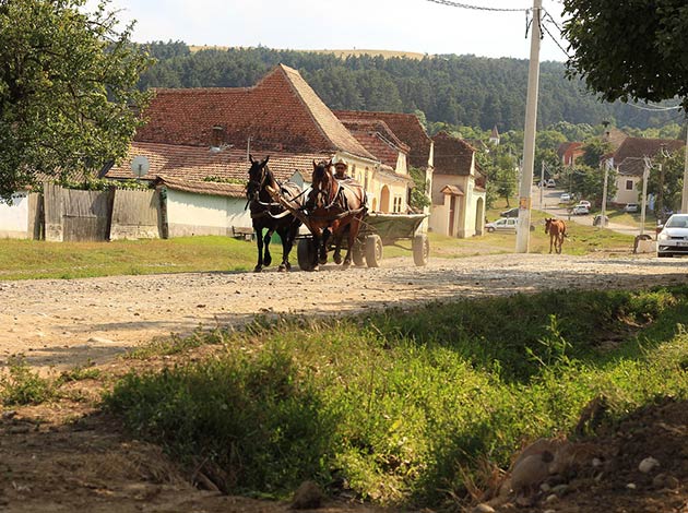 Umzug Buzau, umzug von schweiz nach deutschland zoll, umzug von schweiz nach deutschland, Umziehen nach Deutschland