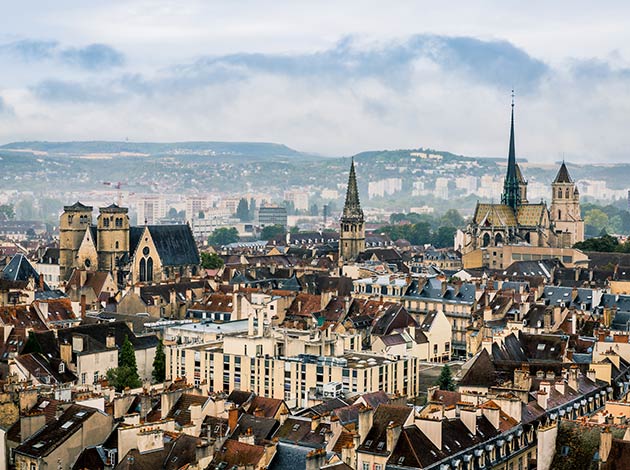 umzug dijon